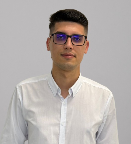 Dragos Bordea