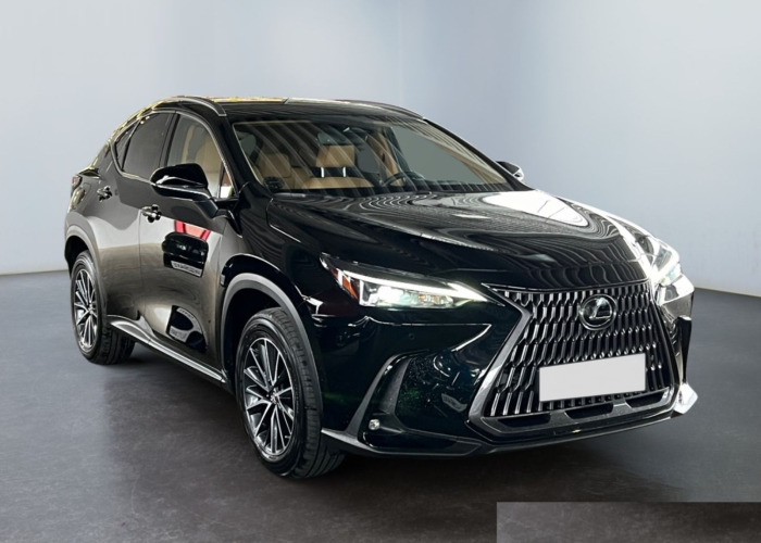 LEXUS SERIA NX