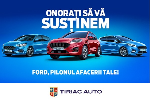 Autoturisme si vehicule comerciale - 6 luni amanarea ratelor