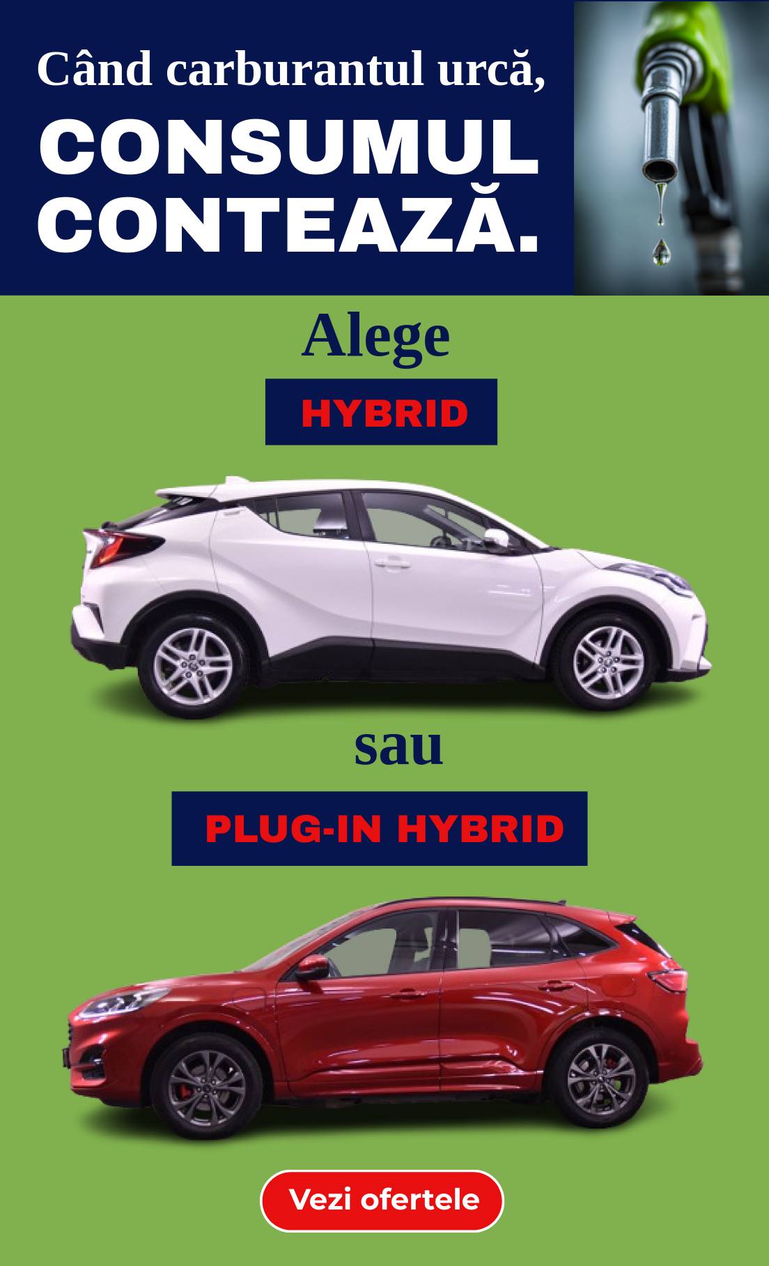 Hybid
